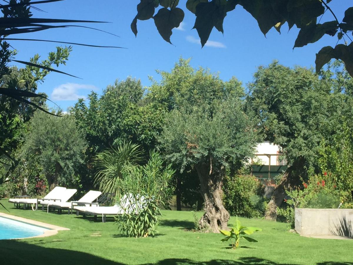 Louise-rose 3* Villeneuve-Loubet